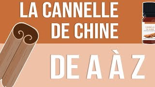 [HUILES ESSENTIELLES] À la découverte de la Cannelle de Chine