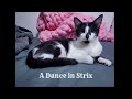 A Dance in Strix
