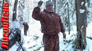 Капканы и приманки для ласки