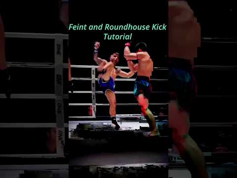 Feint and Roundhouse Kick Tutorial #mma #tutorial #roundhousekick #tricks #shorts