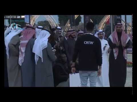 AROUB AL HAMAD - GOLD champion at Asharqia Arabian Horse show 2019