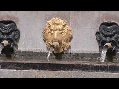 SIETE AGUAS - VALENCIA