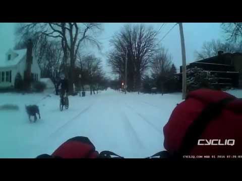 Taking the Dog for a Walk after a Snowfall