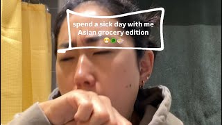 Spend a sick day with me😷 Asian grocery shopping, day of my life in Montréal, Canada🍁