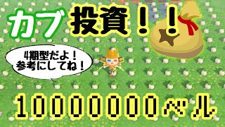 【あつ森】10000000ベルをカブに投資した結果!!『4期型のカブ変動！参考にして下さい！』