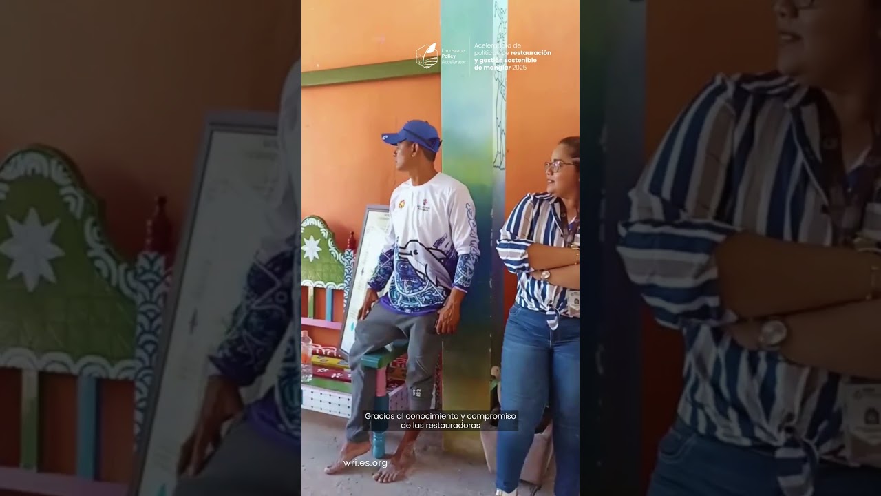 Aceleradora de Políticas de Restauración y Gestión Sostenible de Manglar