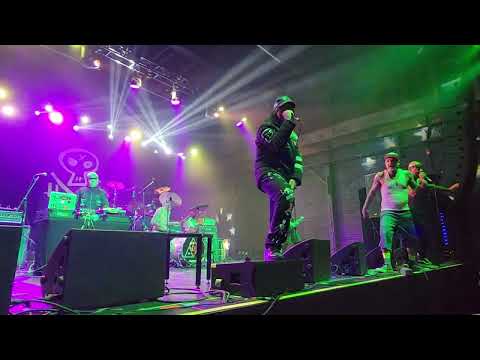 Crazytown X Live - Butterfly