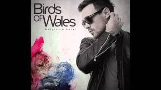 Birds of Wales  - 'Some People Tell Me' (2010) Ft. Dan Mangan