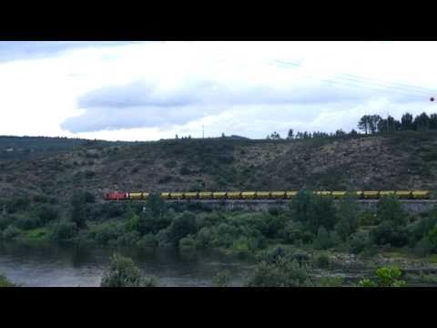 Comboio Especial n.º 98206 - Almourol