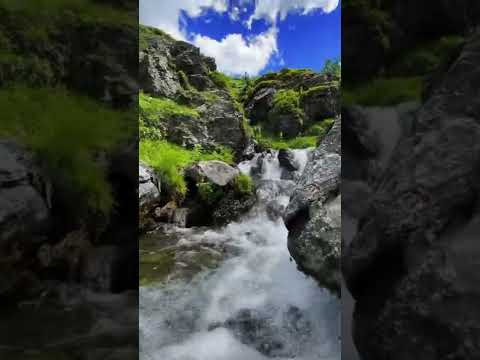 Pllaqiça e vokshit ,Bjeshket e nemuna ⭐️