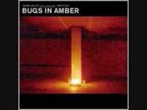 Bugs In Amber - All My Friends