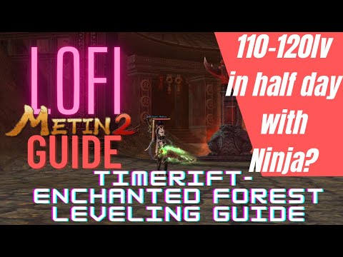 No BS leveling guide (110 - 120): Time Rift Enchanted Forest Ninja