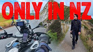This Is a Must-See in New Zealand
