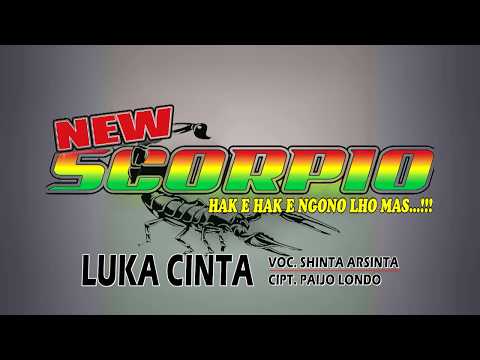 Shinta Arsinta - Luka Cinta | Dangdut (Official Music Video)