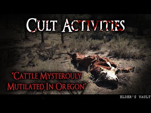 "Disappearing Cows in Rural Oregon" — Cult Activities at the Silvies Valley Ranch
