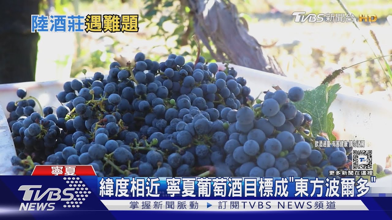 因應酒品市場萎縮 寧夏推「低度」葡萄酒
