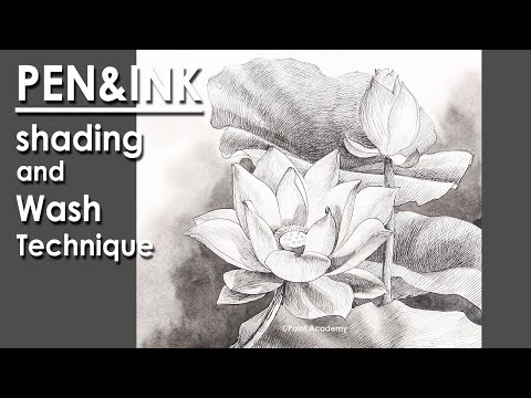 Pen and Ink Drawing How to Shade a Lotus | applying pen and watercolor wash technique