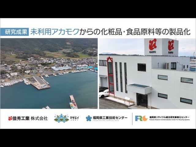 未利用アカモクからの化粧品・食品原料等の製品化