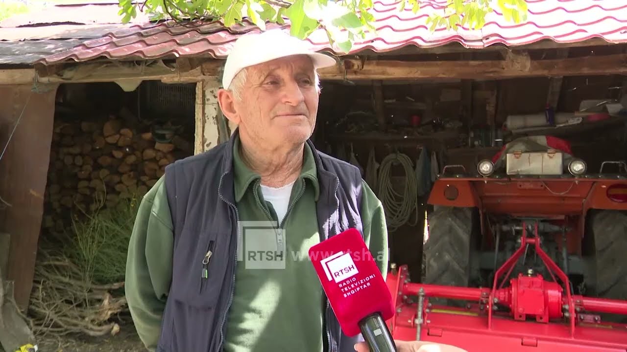 Pranvera në Erind të Lunxhërisë, fshati ku bujqësia, blegtoria dhe tradita mbeten shtylla të jetës