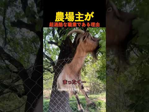 農場主が超過酷な職業である理由