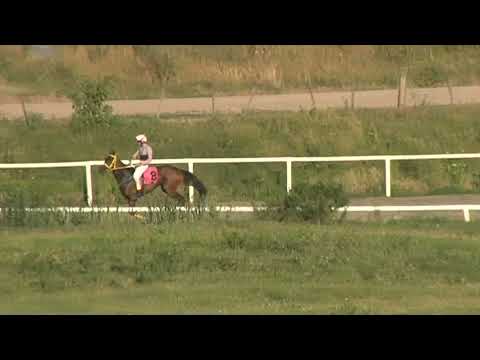 CARRERAS SINT COLONIA - 211216 c08 1° ARMA SECRETA