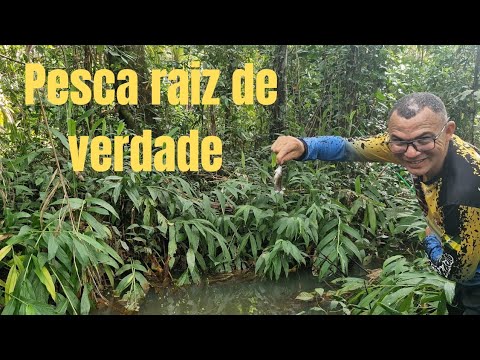 🎣 PESCA RAIZ EM MÂNCIO LIMA – A CIDADE MAIS OCIDENTAL DO BRASIL 🇧🇷