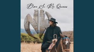 Dime Si Me Quieres