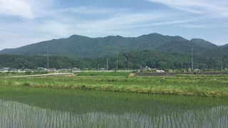 黒川狩猟団 のライブ配信