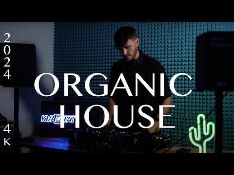 polyansky - organic house mix 2024 (4k)