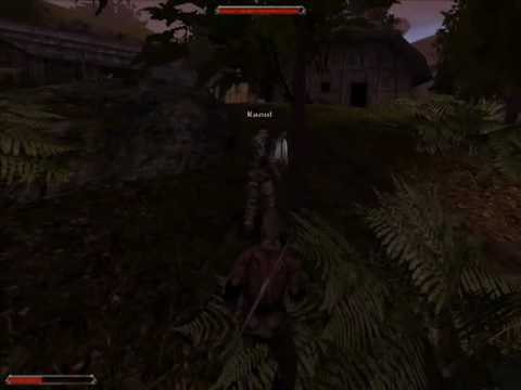 Lets play Gothic 2 DNDR (German) #40