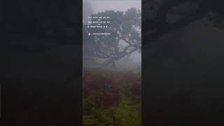 bheege bheege (ankit tiwari, Sunidhi Chauhan)