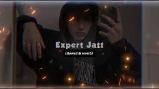 Expert Jatt (slowed &amp; reverb) Nawab || Remixflame #punjabisong #trending #slowedandreverb
