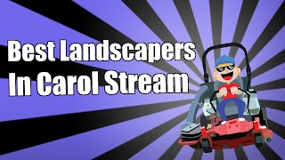 preview picture of video 'Best Landscaper In Carol Stream Il'