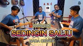 Download lagu SEDINGIN SALJU KARAOKE ELVY SUKAESIH mp3