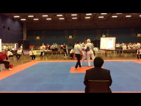 Dan McGeoghan Copenhagen 2013 Scorpion Taekwondo