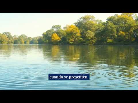 Desbloquea tu Potencial: 5 Minutos Para Cambiar tu vida!