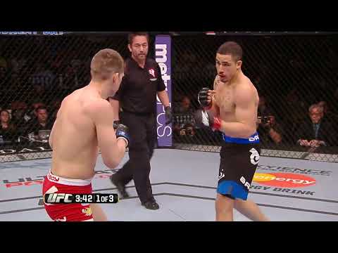 Robert Whittaker vs Stephen Thompson full fight