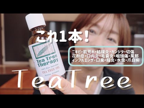 ティーツリーについて詳しく解説