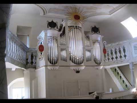 Johann Carl Friedrich Rellstab (1759-1813): Sonata per Organo D-Dur