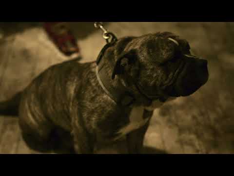 JuggBaby - Serve It To Em Daily (Official Music Video)