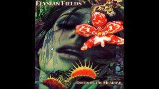 Elysian Fields - Barely Recognize You