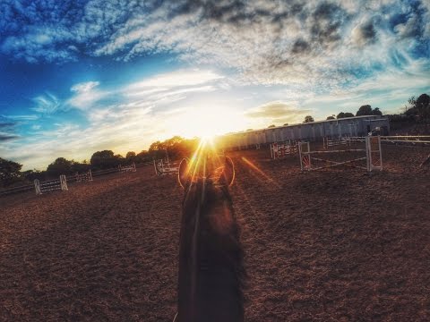 GOPRO |  Showjumping up to 1m40!