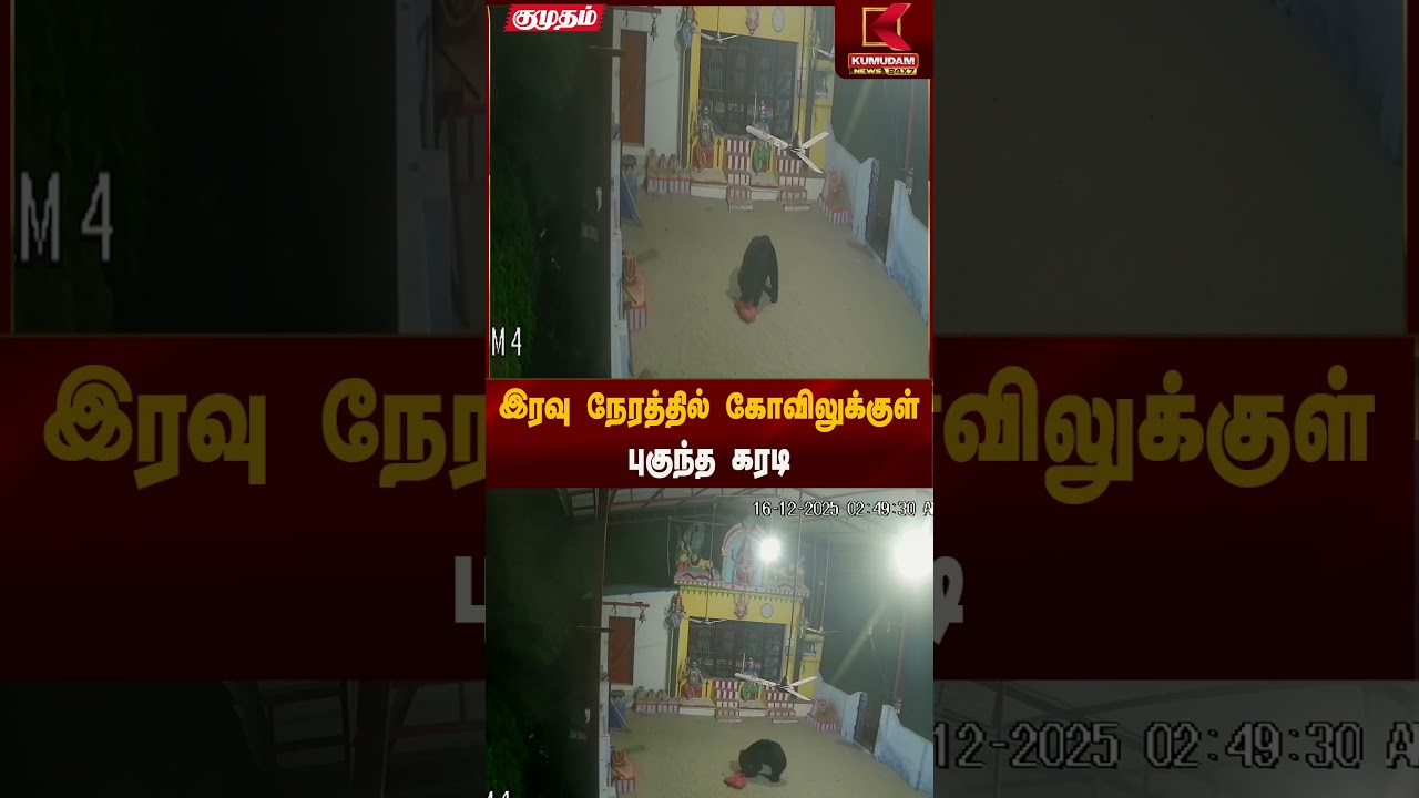 Nellai News | இரவு நேரத்தில் கோவிலுக்குள் புகுந்த கரடி | Kumudam News