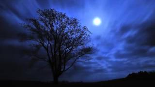 Radigost - Towards eternal glory