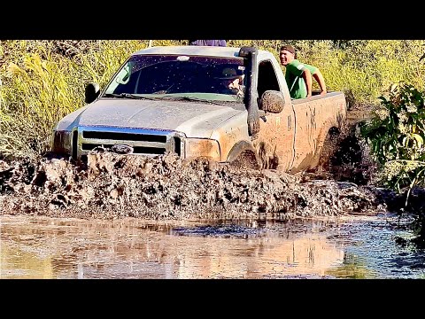 TRILHA BATAGUASSU 2024 - EP 03 - A goiabeira