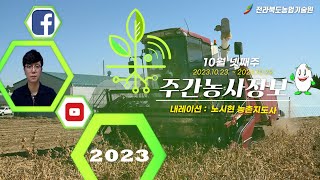 [ 주간농사정보 ] 10월 넷째주 (2023. 10. 23. ~ 2023. 10. 29.)