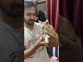 The Cat Has Entered The House Daily Vlog 149 Vlogs Shorts