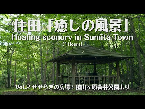 住田「癒しの風景」 Vol 2せせらぎの広場（種山ヶ原森林公園）