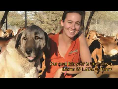 CCF Livestock Guarding Dog Appeal