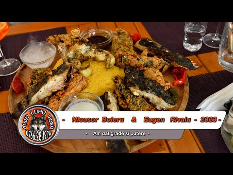 Nicusor Boieru & Eugen Rivalu - Am dat grade si putere